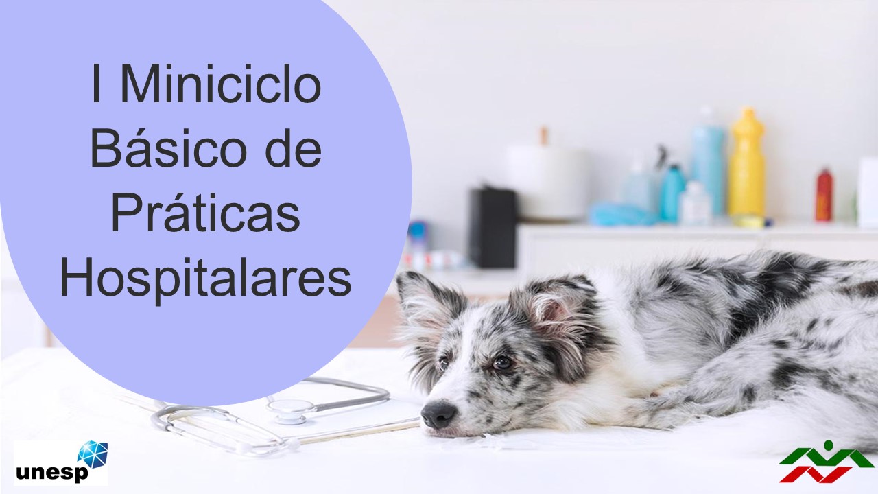 CURSO PRÁTICO – I MINICICLO BÁSICO DE PRÁTICAS HOSPITALARES