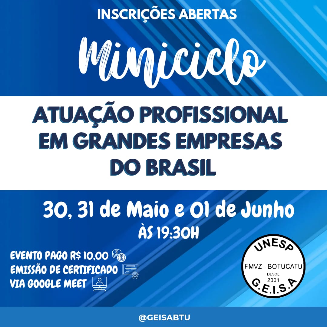 MINICICLO – ATUAÇÃO PROFISSIONAL EM GRANDES EMPRESAS DO BRASIL