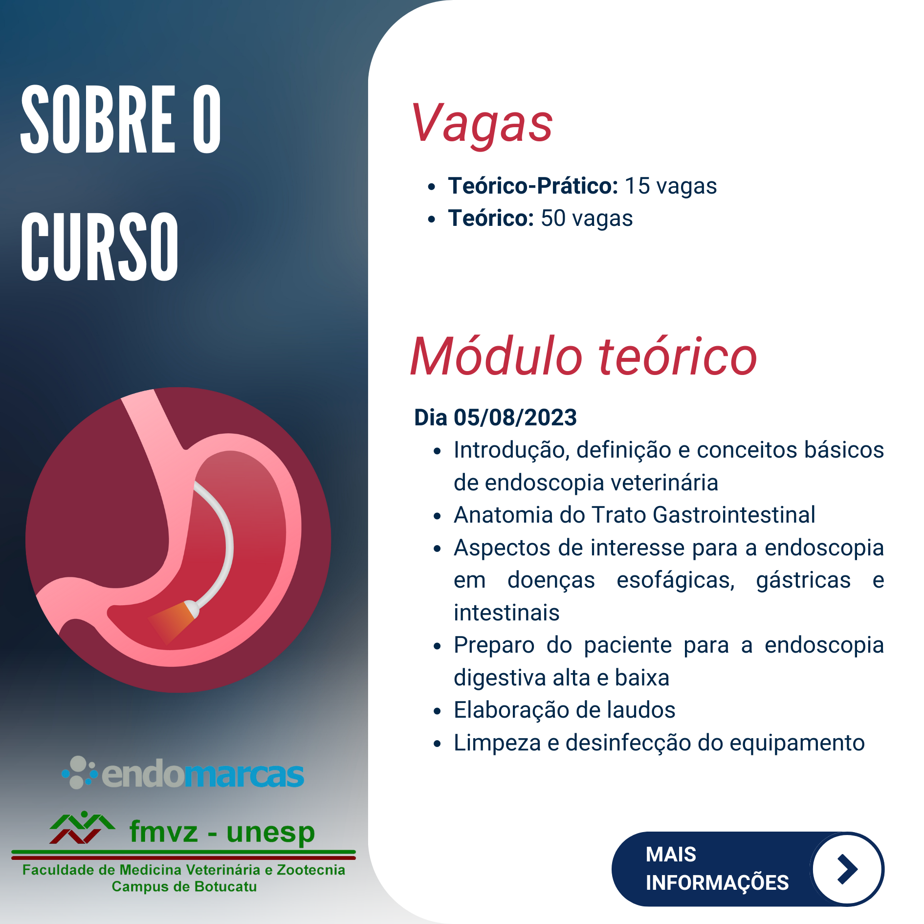 CURSO DE ENDOSCOPIA EM PEQUENOS ANIMAIS – PRESENCIAL – (TEÓRICO-PRÁTICO)