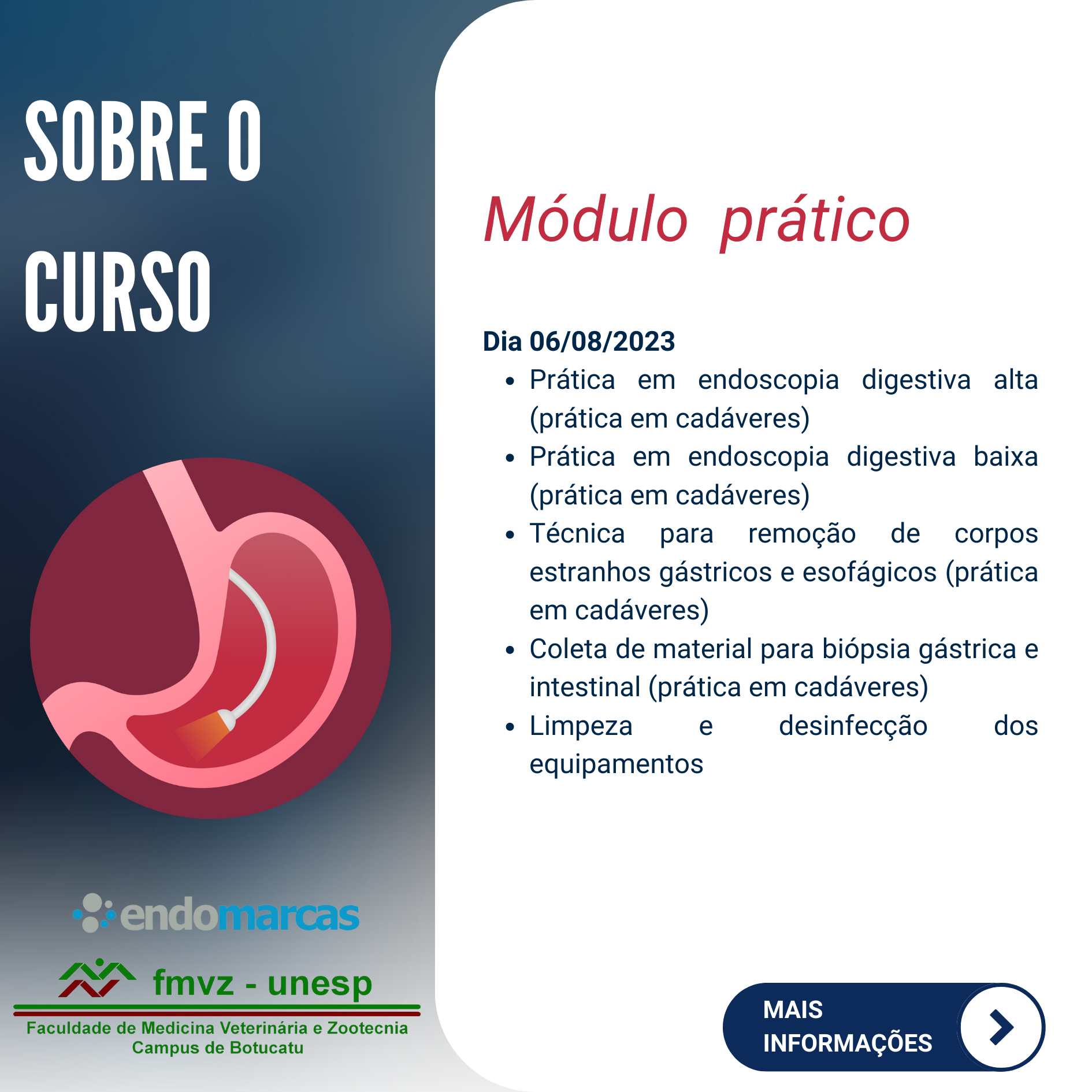 CURSO DE ENDOSCOPIA EM PEQUENOS ANIMAIS – PRESENCIAL – (TEÓRICO-PRÁTICO)