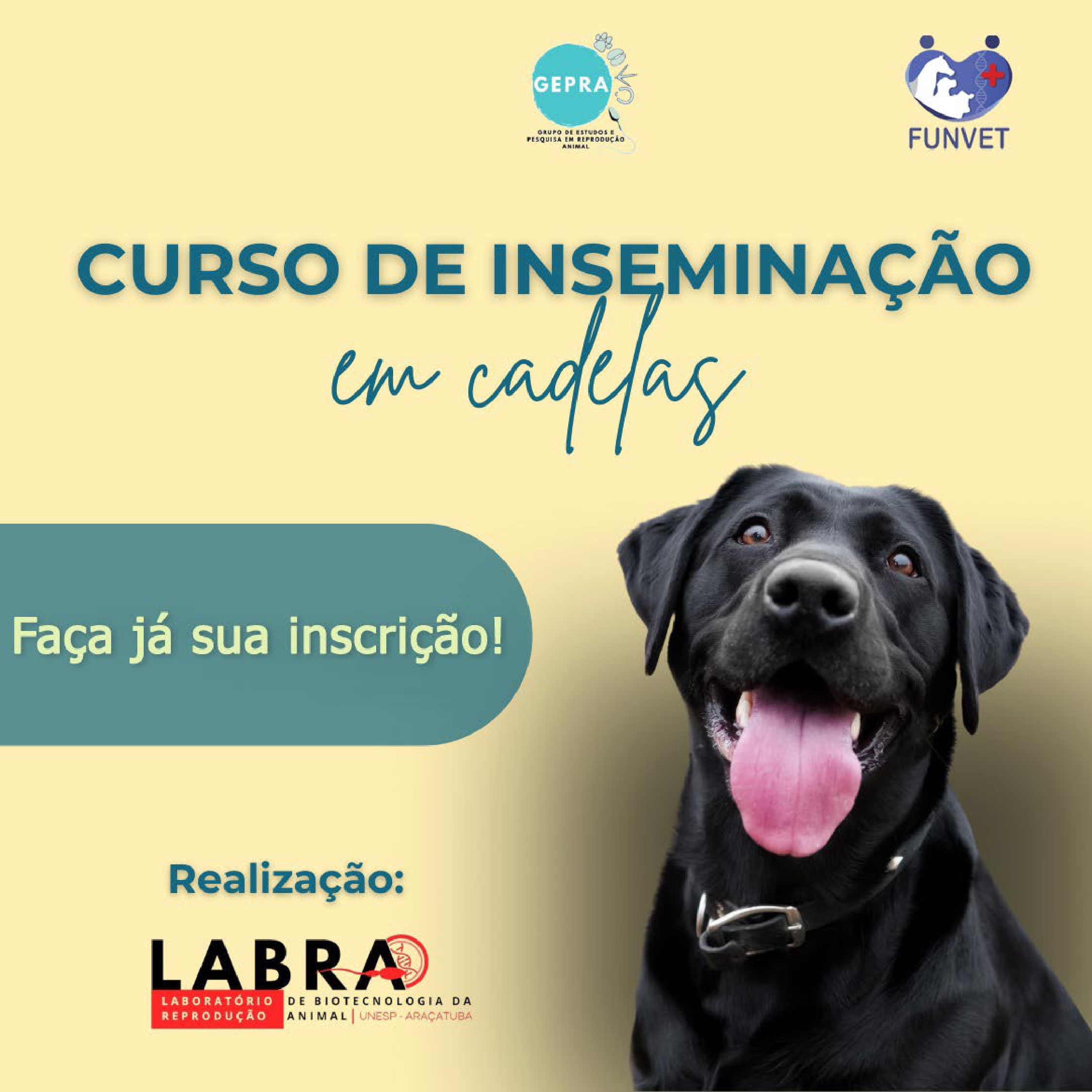 1º WORKSHOP DE ATUALIZAÇÃO EM BIOTECNOLOGIA DA REPRODUÇÃO CANINA – INSEMINAÇÃO ARTIFICIAL