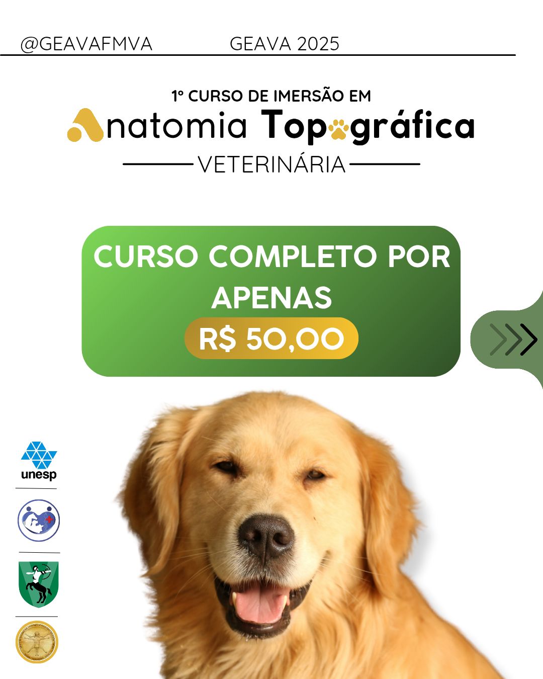 ANATOMIA TOPOGRÁFICA APLICADA PARA MEDICINA VETERINÁRIA