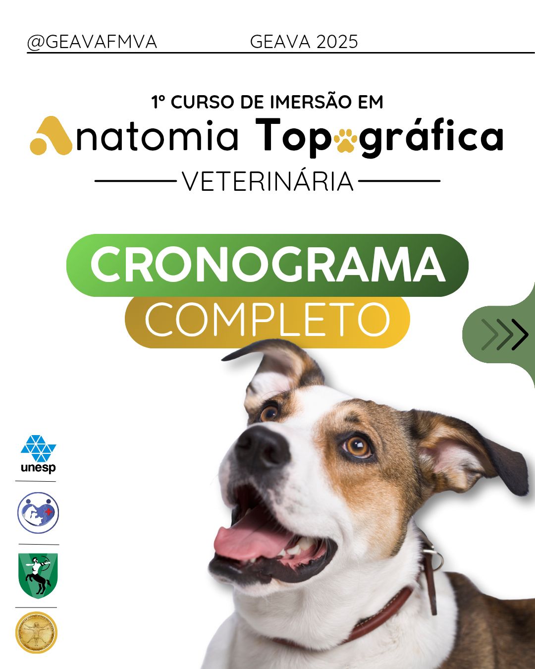 ANATOMIA TOPOGRÁFICA APLICADA PARA MEDICINA VETERINÁRIA