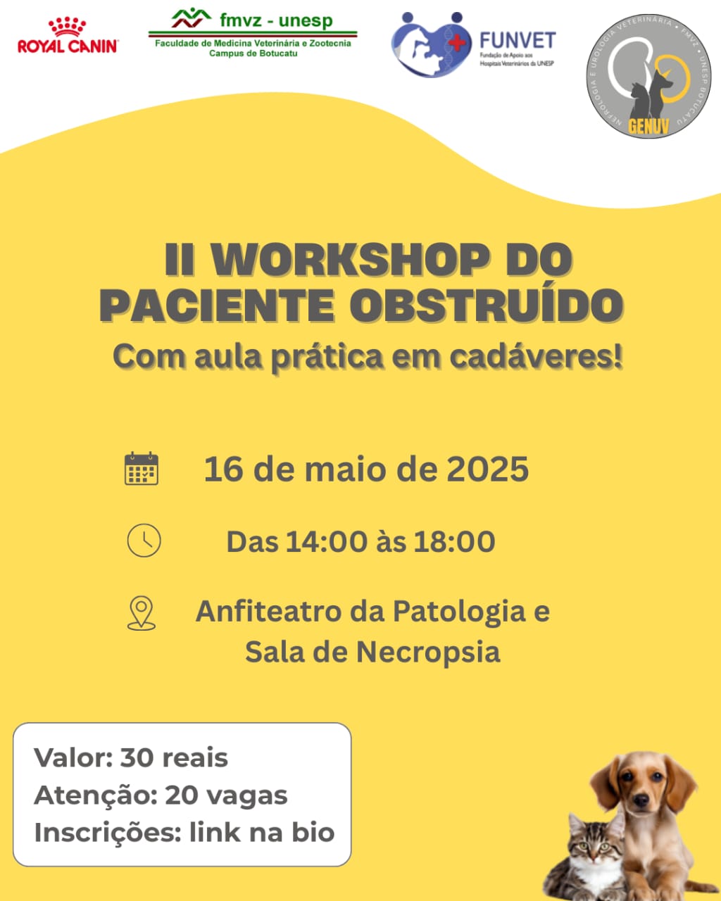 II WORKSHOP DE DESOBSTRUÇÃO DE CÃES E GATOS