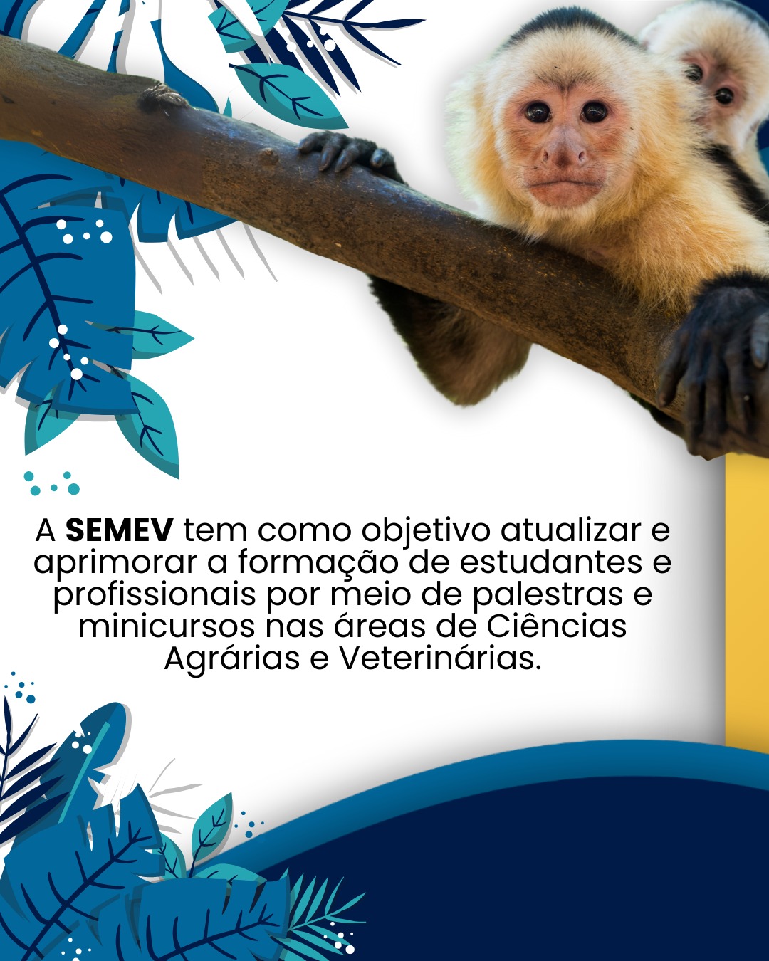 XXXI SEMEV – SEMANA ACADÊMICA DE MEDICINA VETERINÁRIA