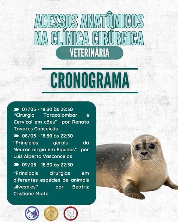 ACESSOS ANATÔMICOS NA CLÍNICA CIRÚRGICA