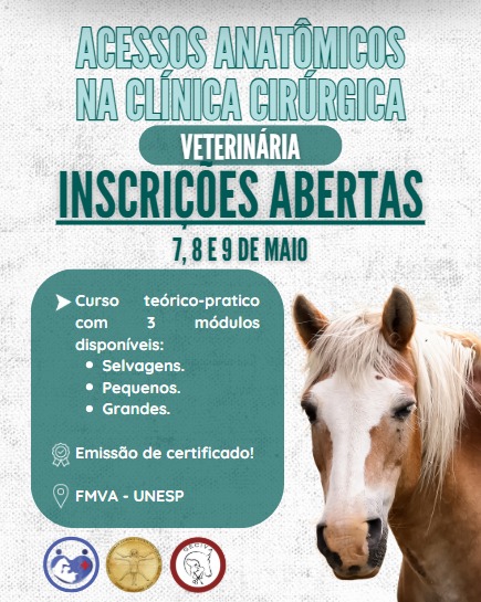 ACESSOS ANATÔMICOS NA CLÍNICA CIRÚRGICA