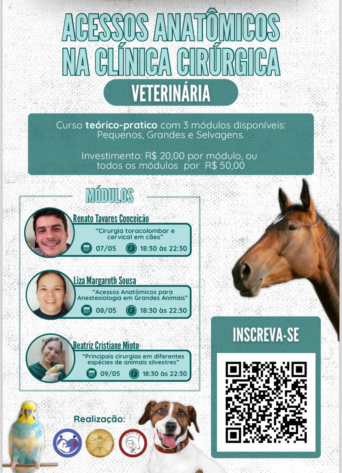 ACESSOS ANATÔMICOS NA CLÍNICA CIRÚRGICA