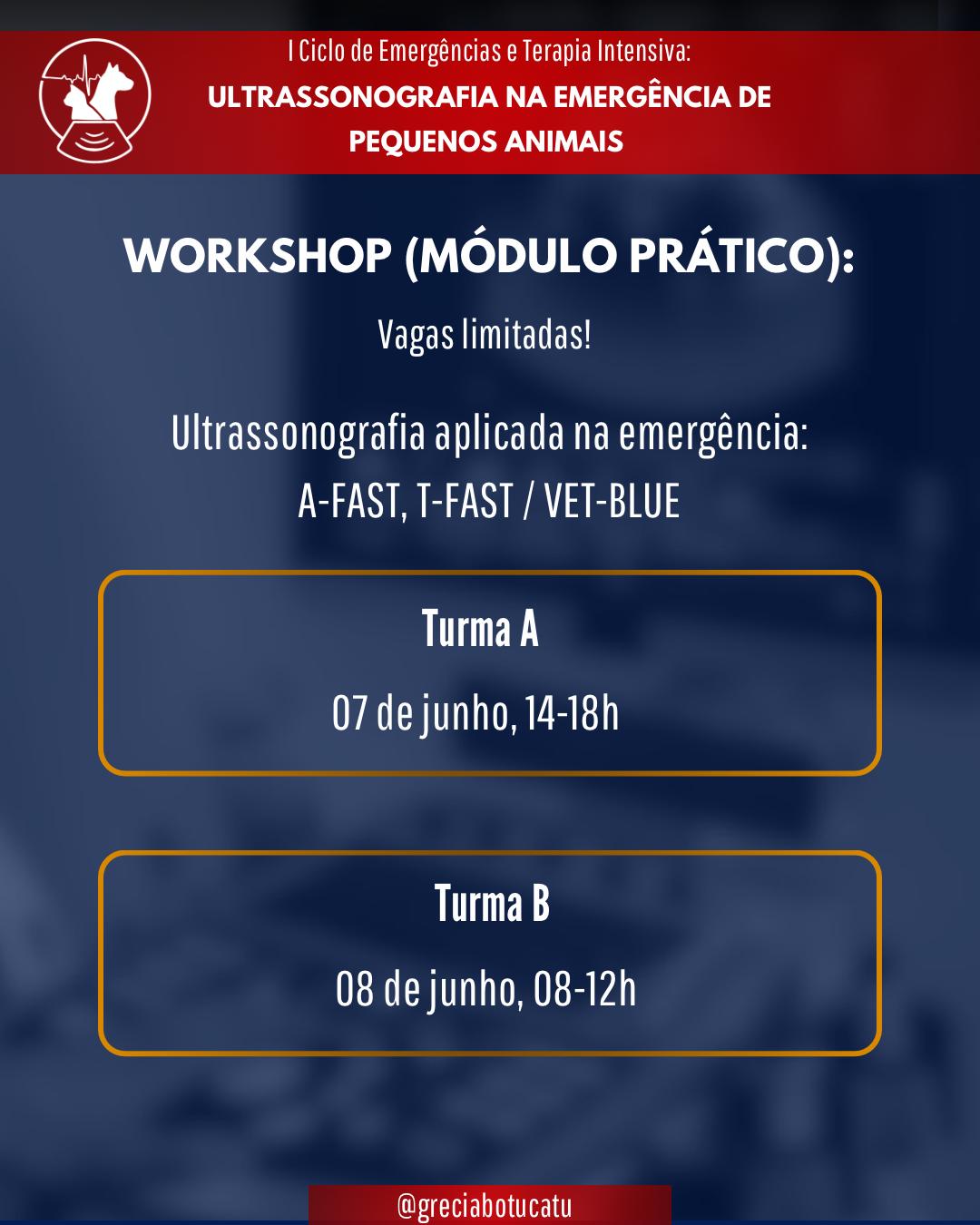 Workshop – 1º Ciclo de Emergências e Terapia Intensiva em Pequenos Animais – 08/06/2025
