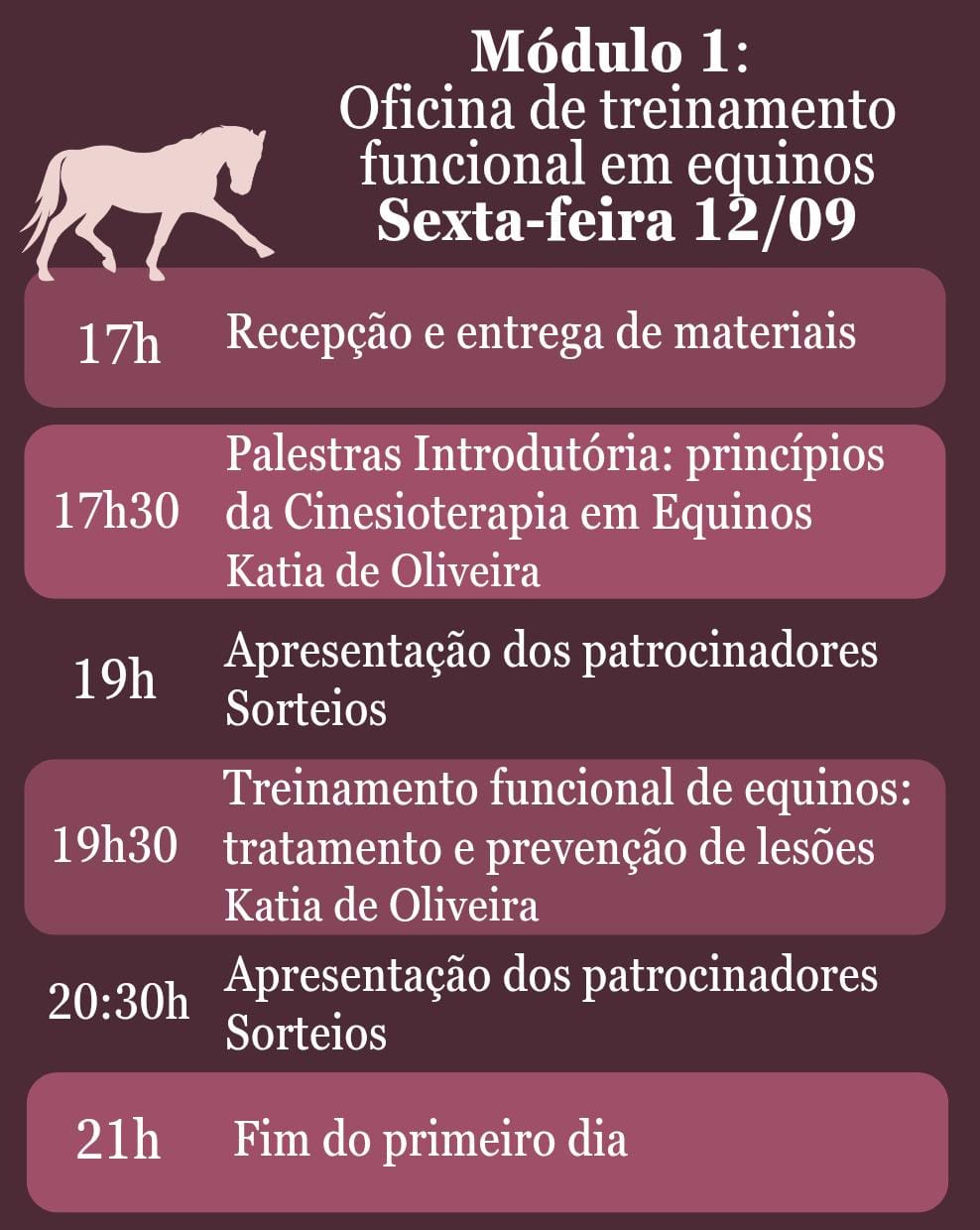 Workshop de Cinesioterapia – Reabilitação pelo Movimento