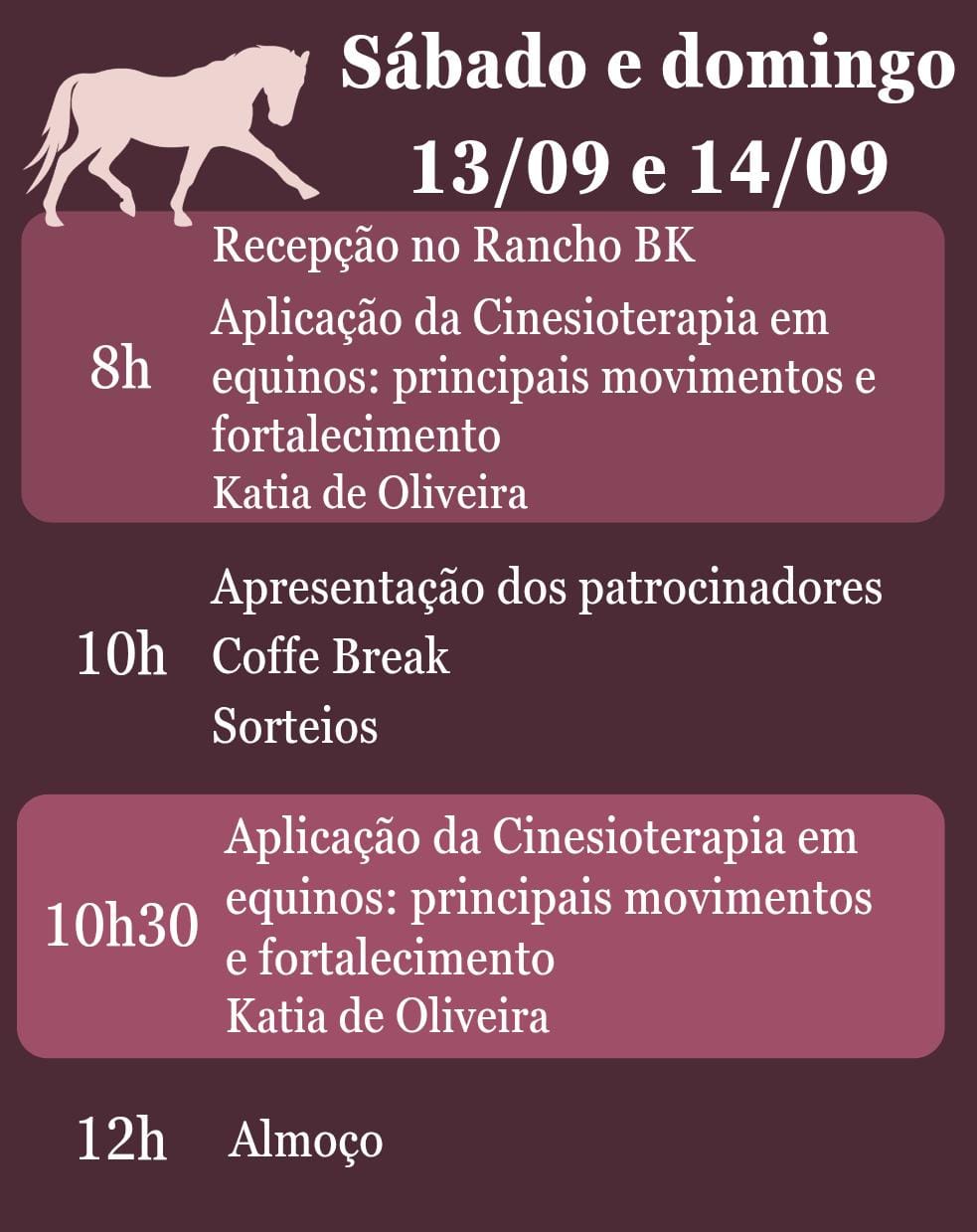 Workshop de Cinesioterapia – Reabilitação pelo Movimento