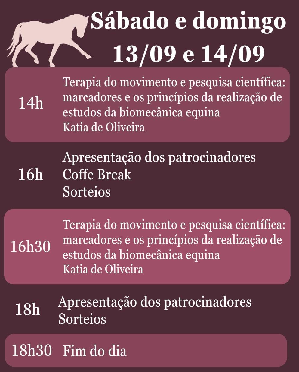 Workshop de Cinesioterapia – Reabilitação pelo Movimento