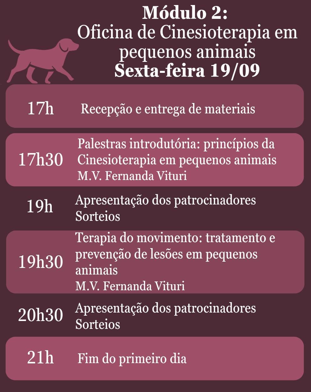 Workshop de Cinesioterapia – Reabilitação pelo Movimento