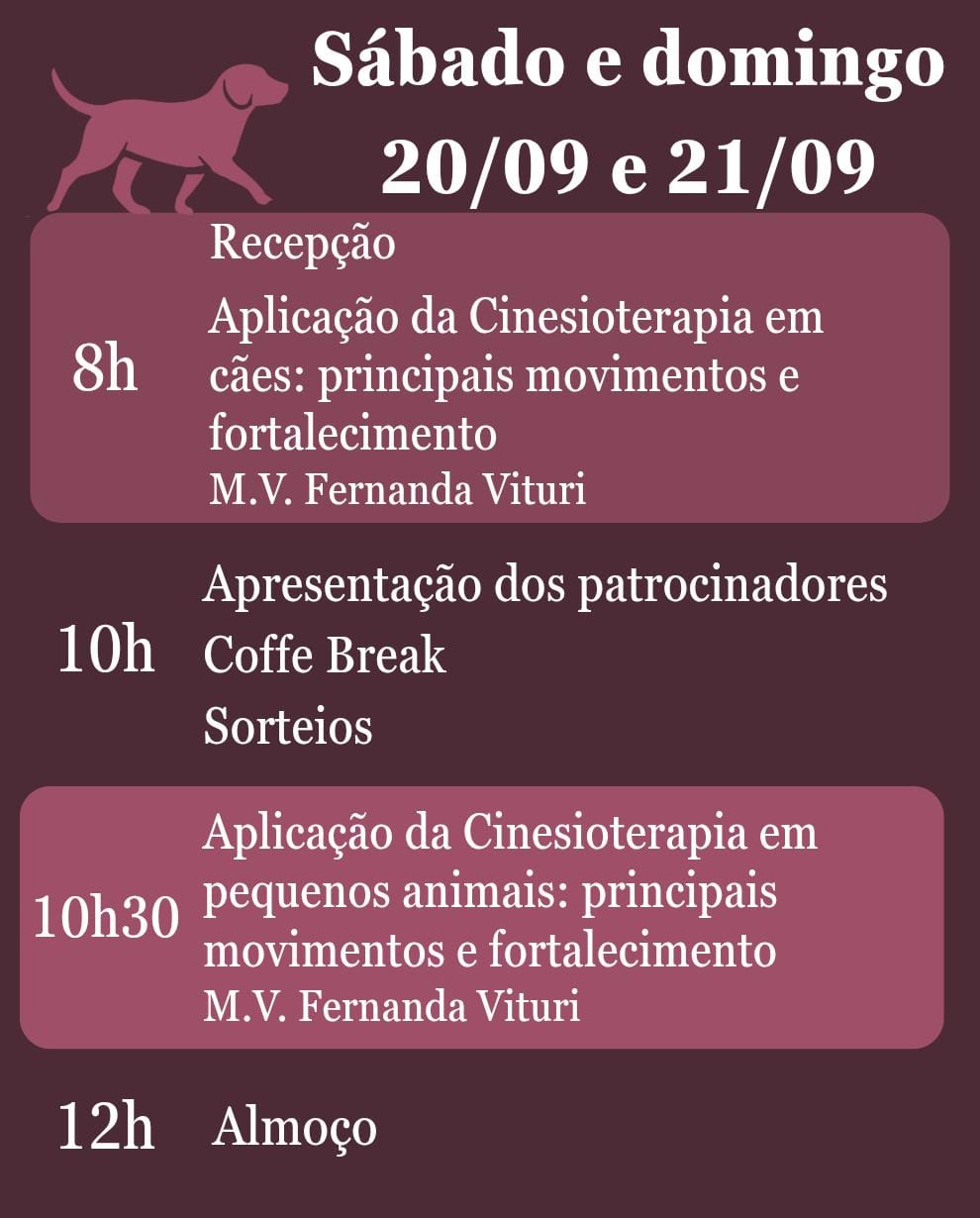 Workshop de Cinesioterapia – Reabilitação pelo Movimento