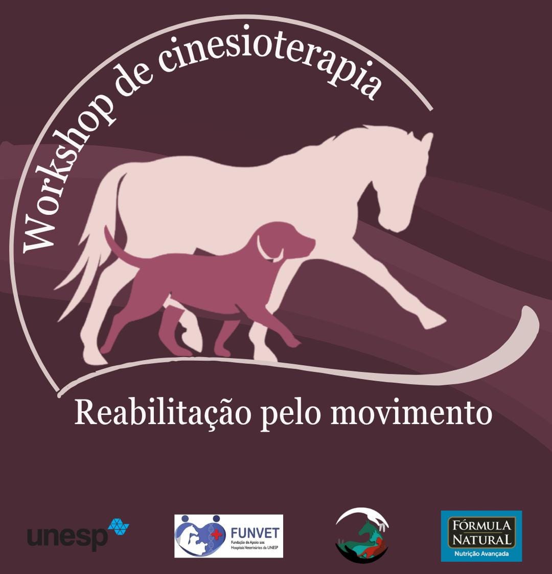 Workshop de Cinesioterapia – Reabilitação pelo Movimento