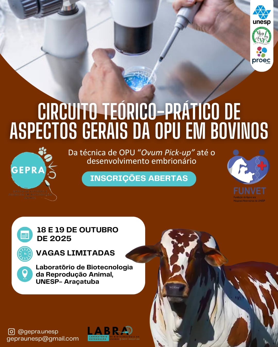 Circuito Teórico-Prático de Aspectos Gerais da OPU em Bovinos