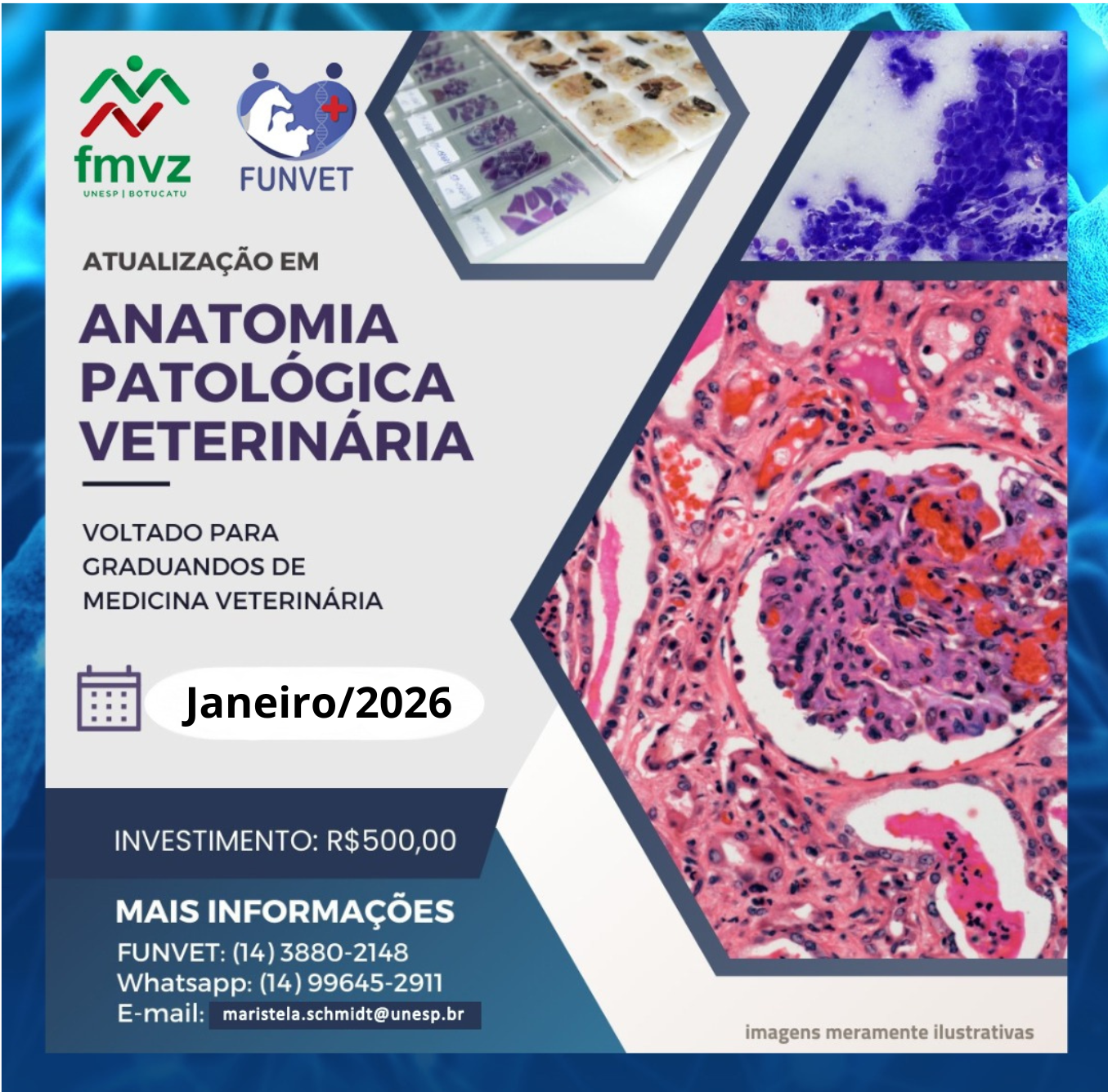 Curso Prático de Anatomia Patológica Veterinária – Janeiro 2026