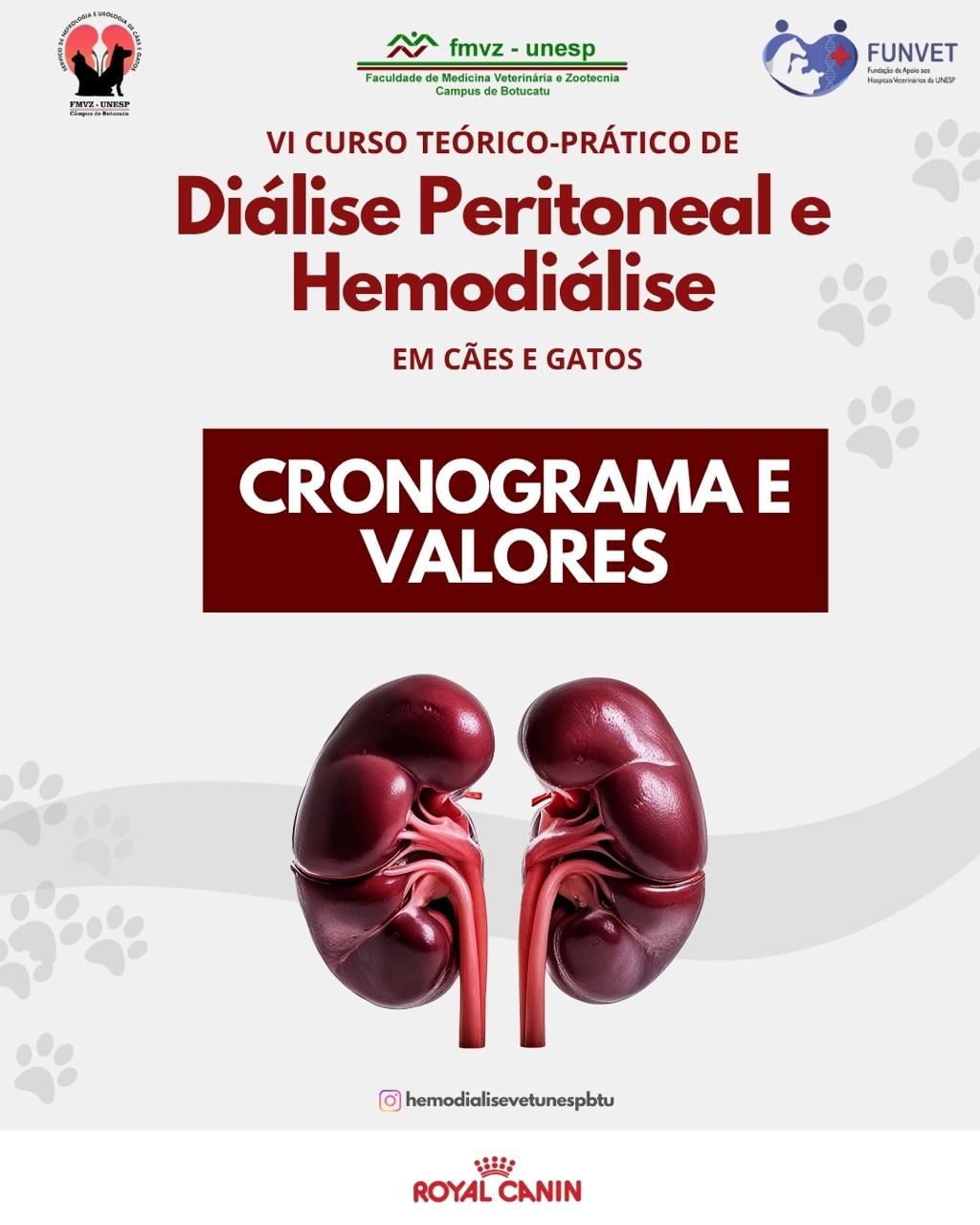 VI Curso Teórico/Prático de Diálise Peritoneal e Hemodiálise em Pequenos Animais
