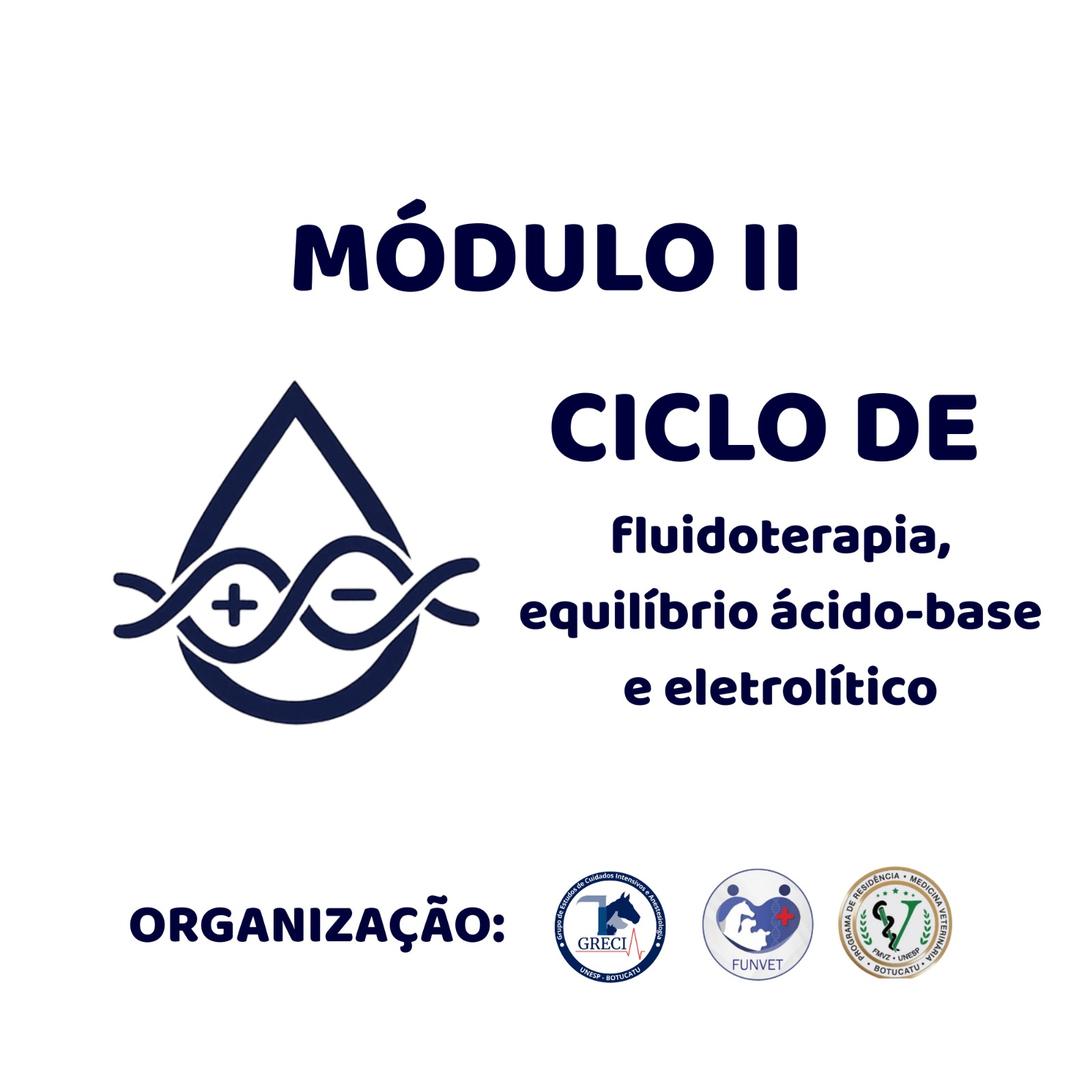 Ciclo de Fluidoterapia, equilíbrio ácido-base e eletrolítico em Pequenos Animais – módulo II