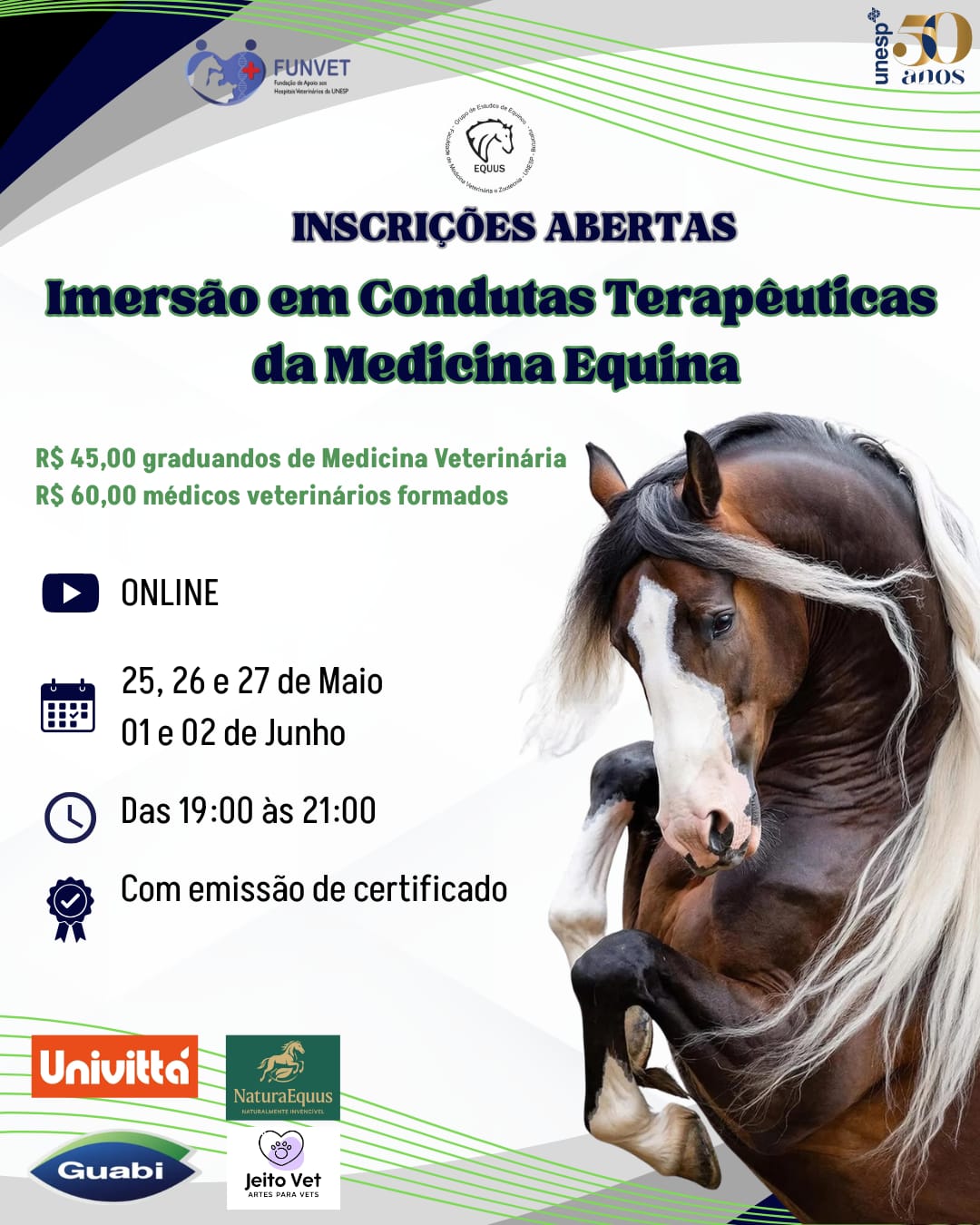 Imersão em Condutas Terapêuticas da Medicina Equina