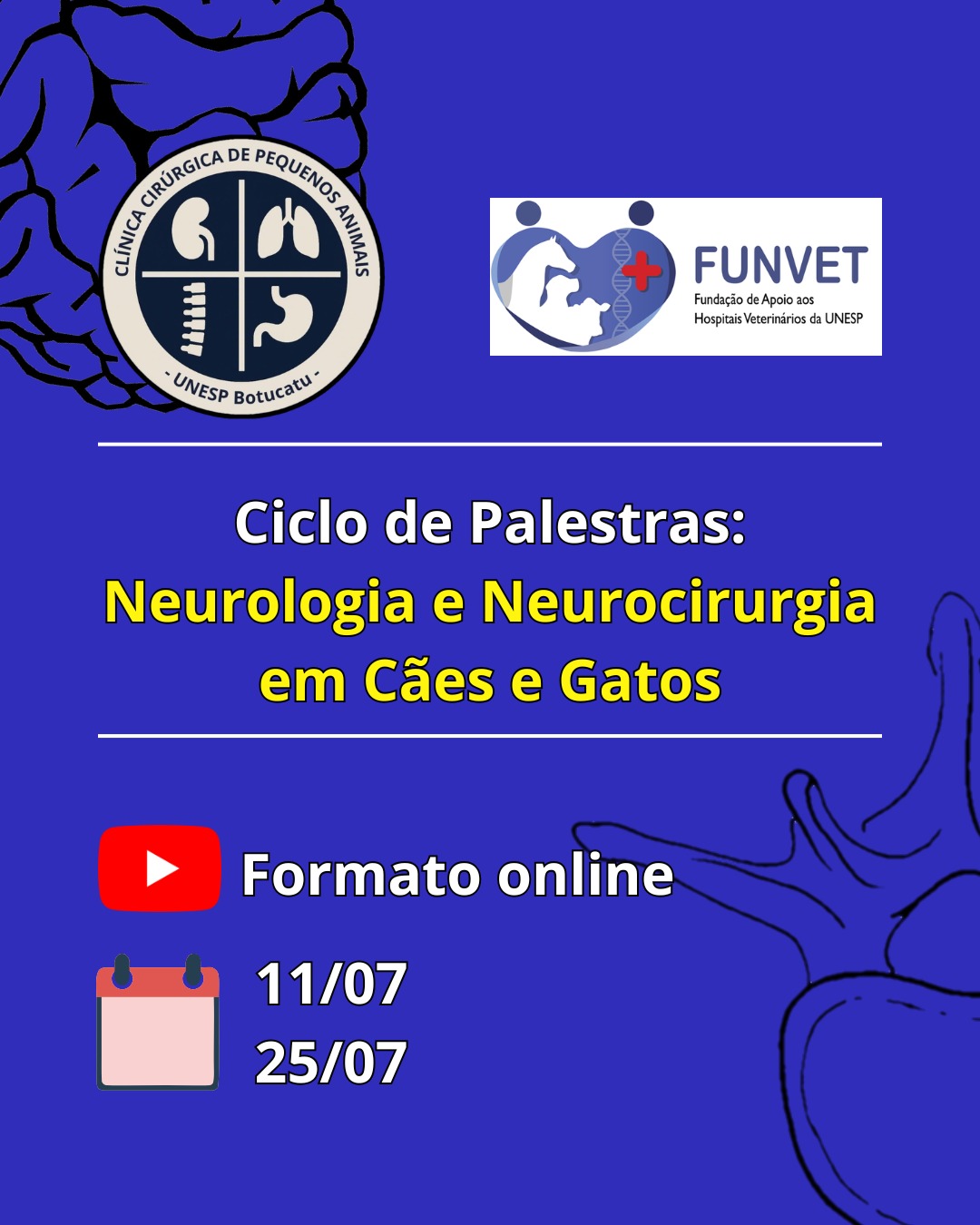 Ciclo de Palestra: Neurologia e Neurocirurgia em cães e gatos