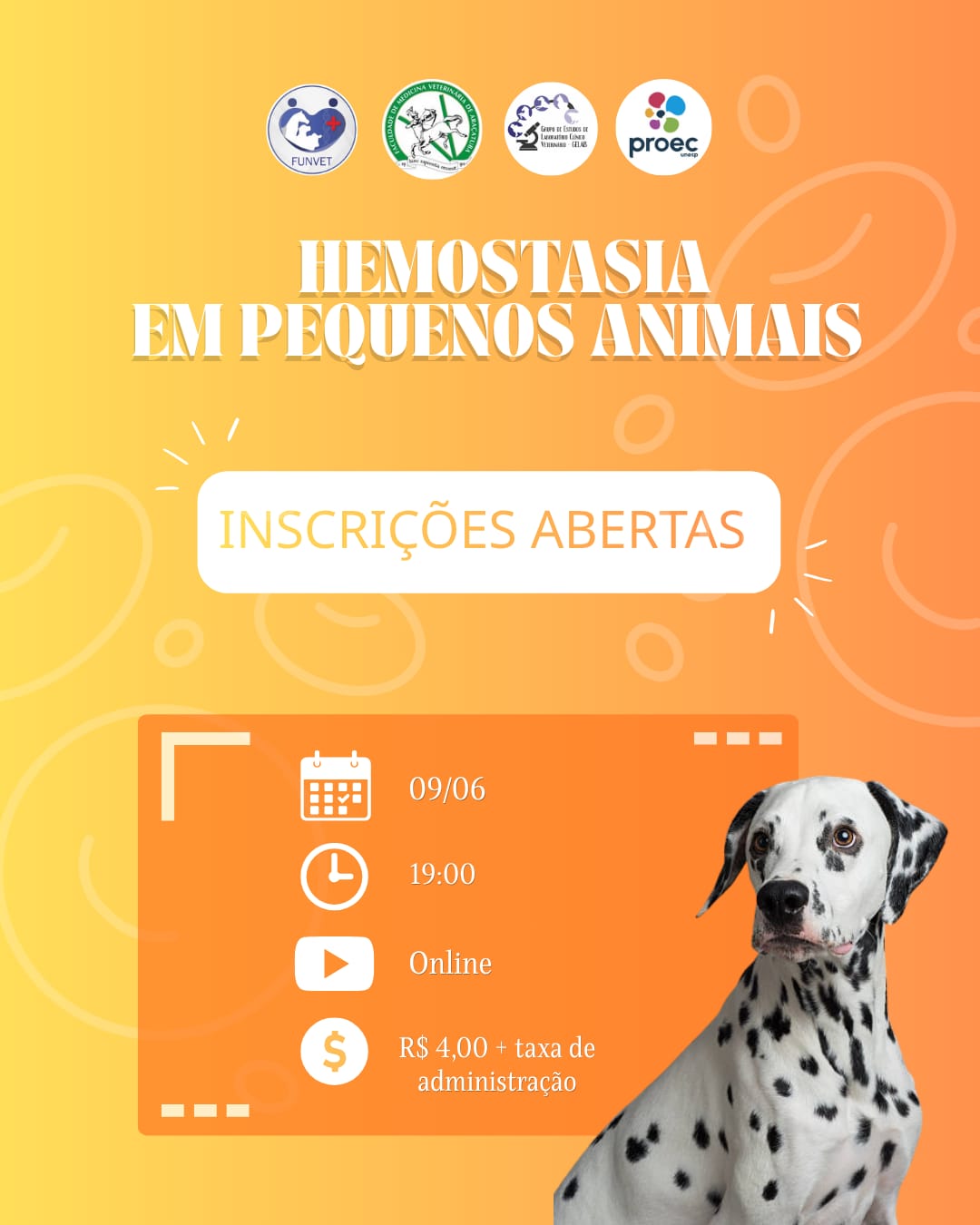 Hemostasia em pequenos animais