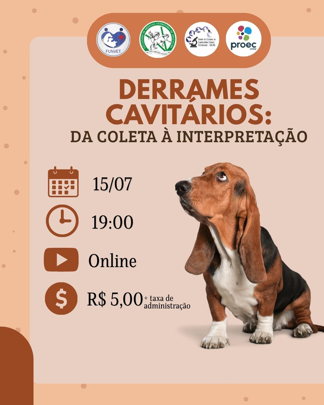Derrames cavitários: da coleta à interpretação