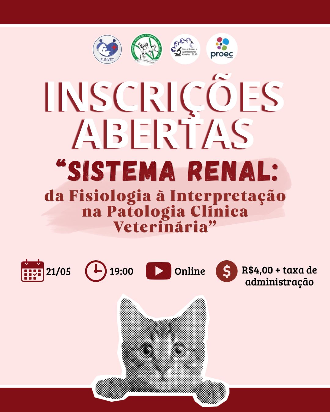 Sistema Renal: da Fisiologia à Interpretação na Patologia Clínica Veterinária