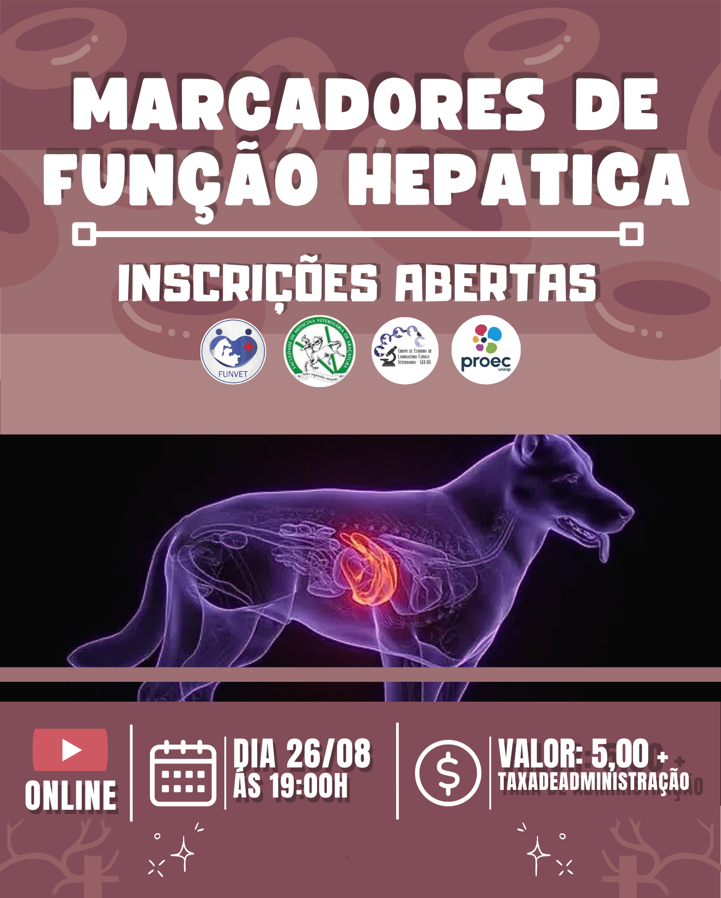 Marcadores de Função Hepática