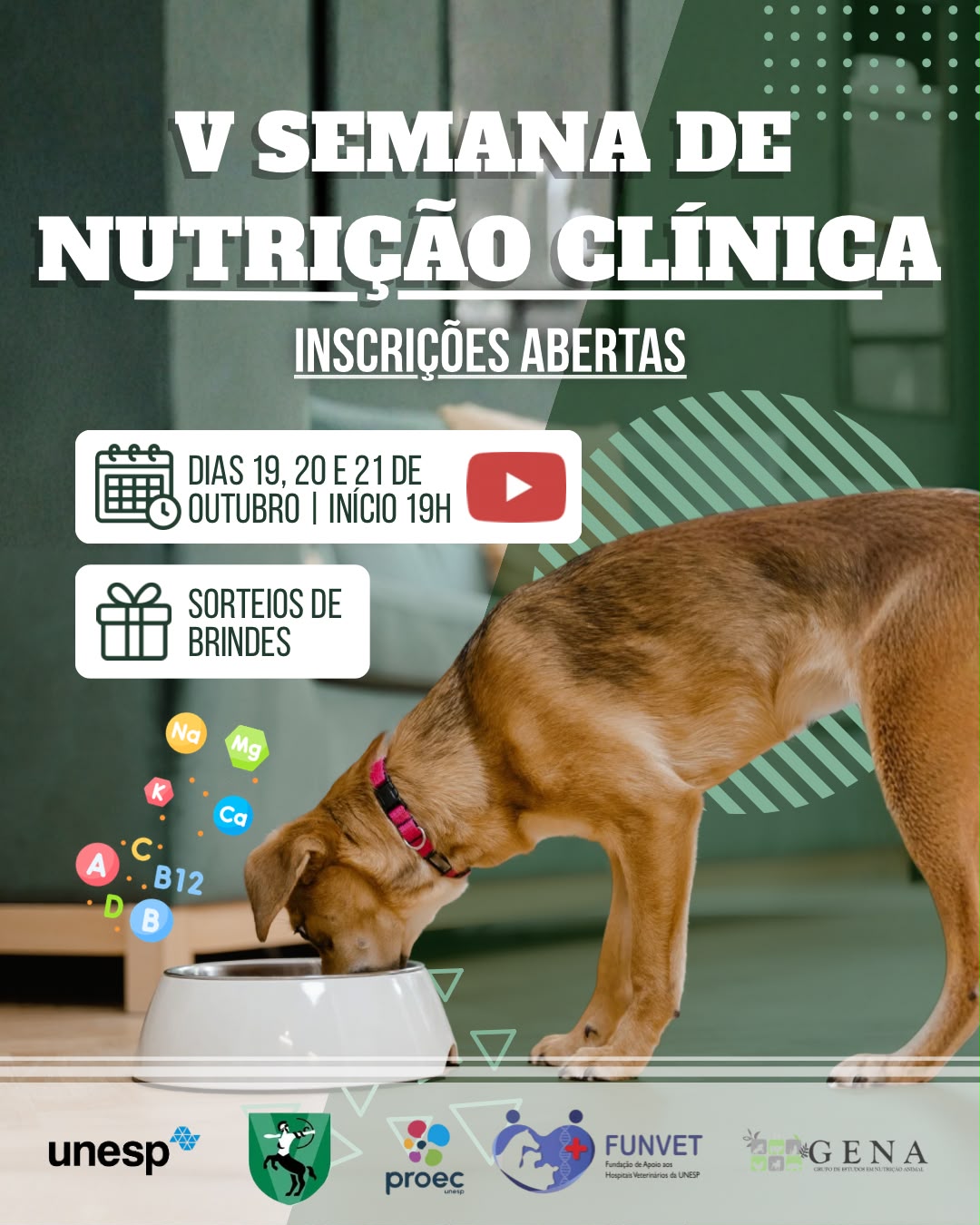 V Semana de Nutrição Clínica Veterinária