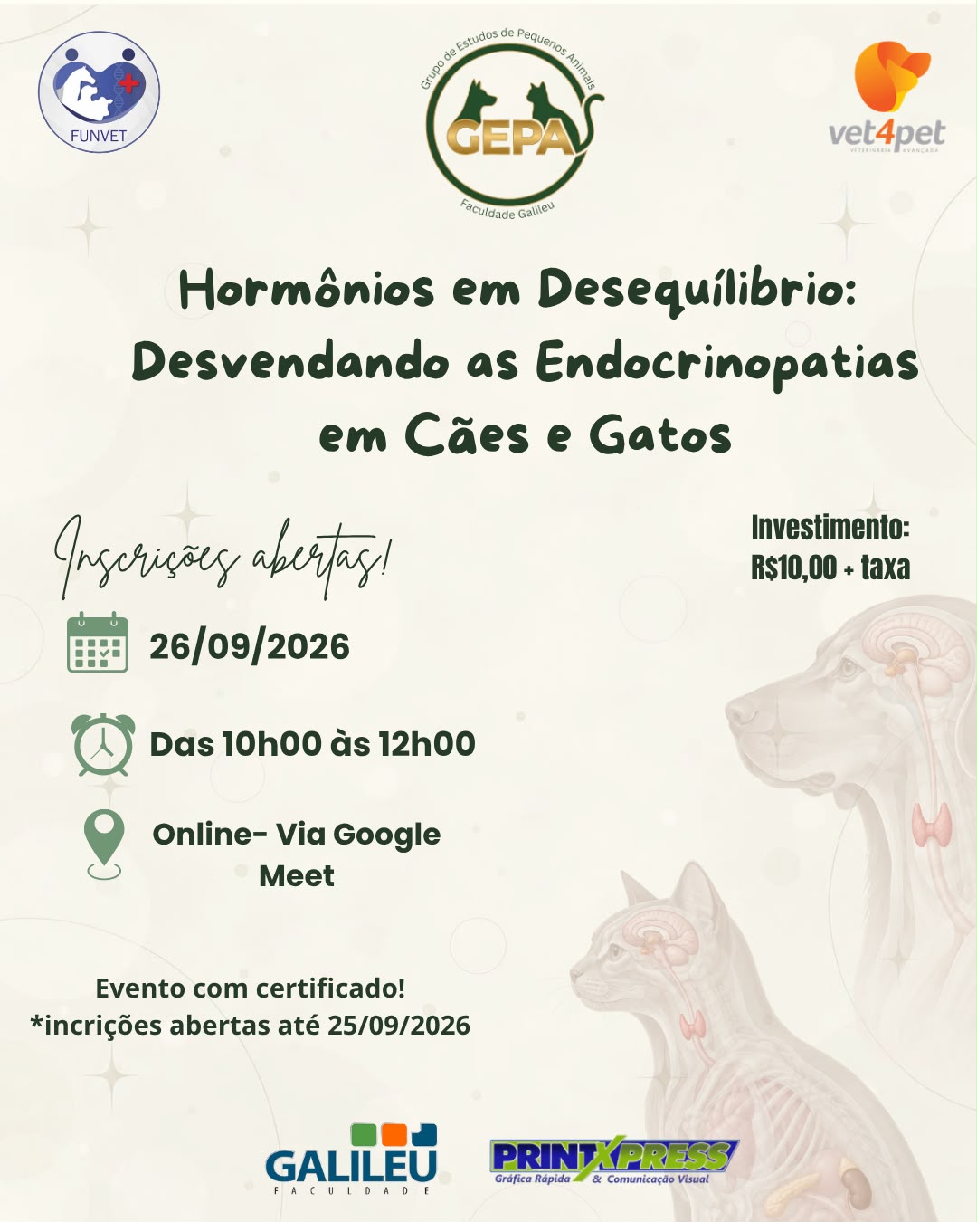 Hormônios em Desequilíbrio: Desvendando as Endocrinopatias em Cães e Gatos