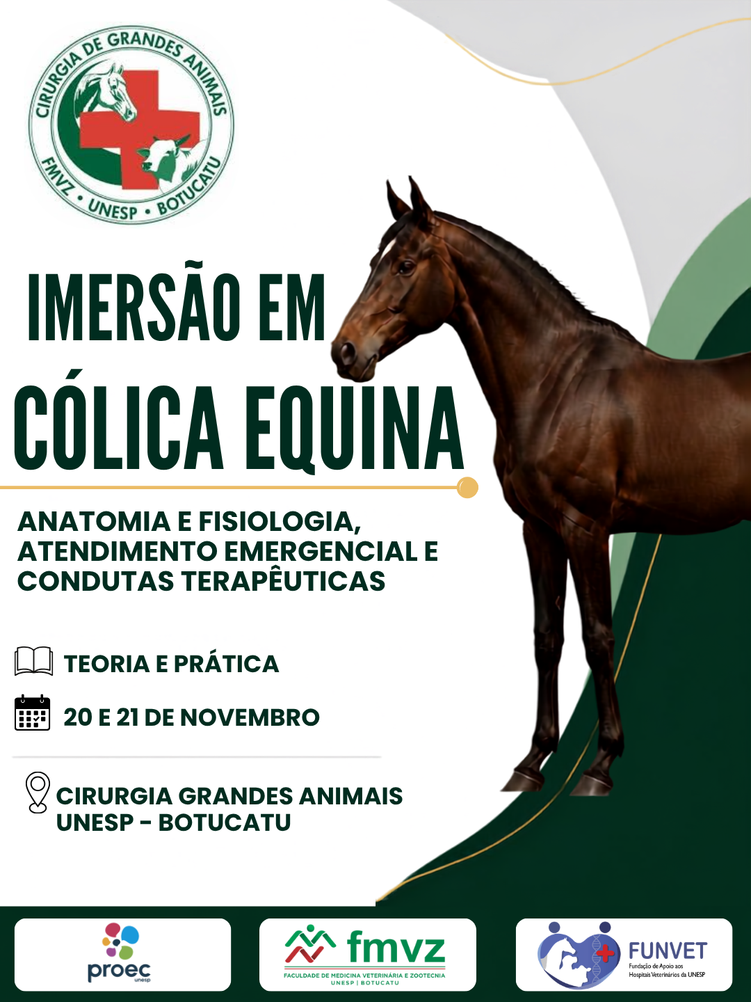 Imersão na Cólica Equina